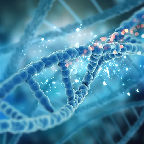 genética ocular nos hospitais de olhos da Rede Vision One