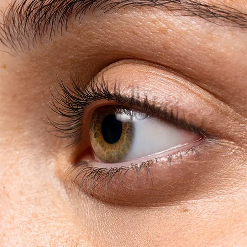 olho em foco com detalhe da órbita ocular